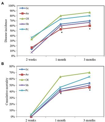 Inoculation With Ectomycorrhizal Fungi and Dark Septate Endophytes Contributes to the Resistance of Pinus spp. to Pine Wilt Disease